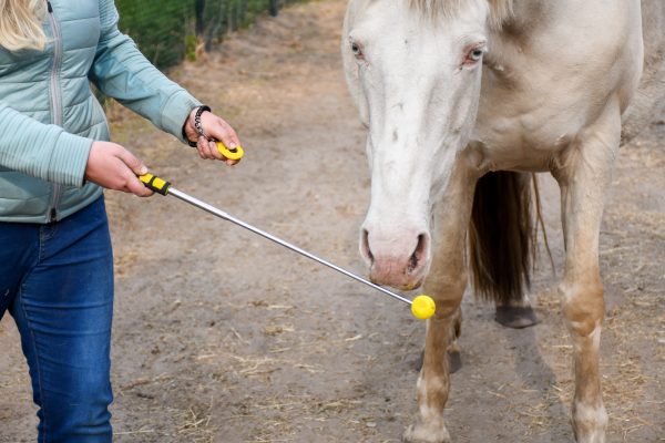 Artikel: Gele, uitschuifbare, lichtgewicht targetstick tot 1,2m. Gele clicker met elastisch polsbandje. Clickertraining, +R training, targettraining met paard