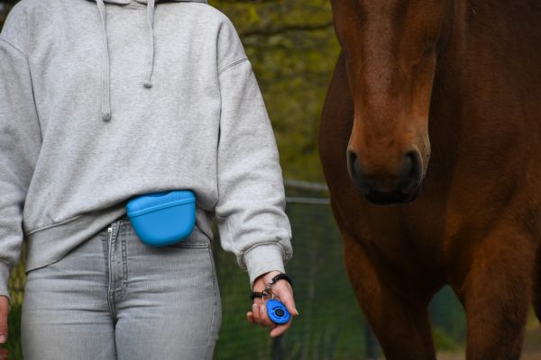 Artikel: Blauw beloningstasje. Handig klein beloningstasje met magneetsluiting.+R training, trainen met voer, clickertraining met paard