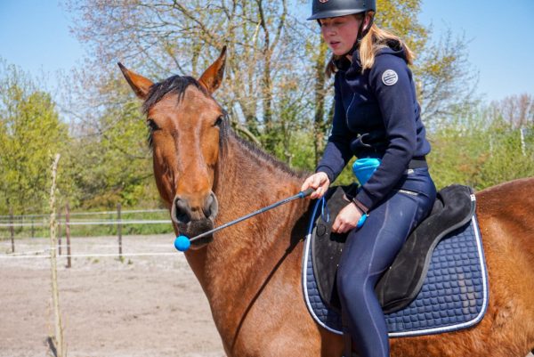 Foto Blog: Targetraining voorkom een jagend paard. Targettraining is een fantastische manier om je paard in beweging te krijgen met clickertraining. Maar hoe voorkom je frustratie?