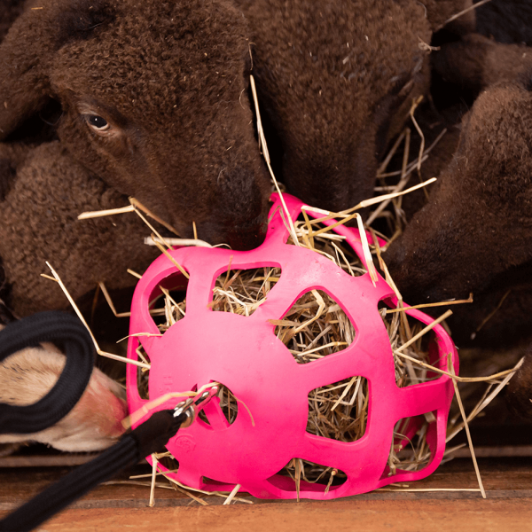 Product: Hay Slowfeerder fun & Flex. Flexibele hooibal van 22 cm met ophangkoort van goede kwaliteit. Vul de bal met hooi en/of vers gras om je paard een leuke uitdaging te geven